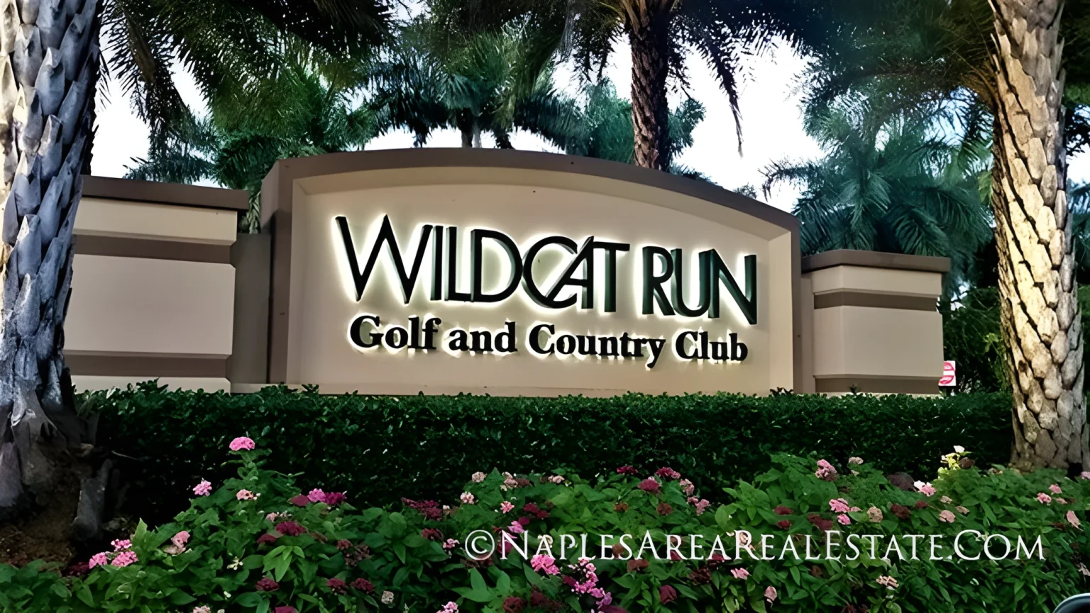 Wildcat Run