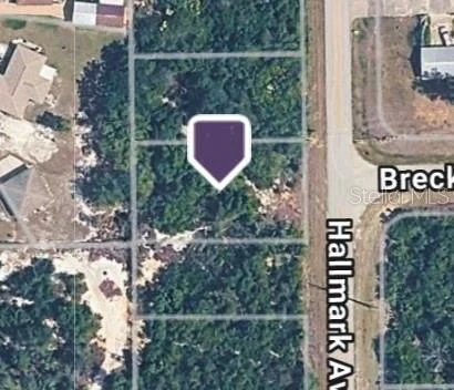 228 Hallmark Ave, Lake Placid FL
