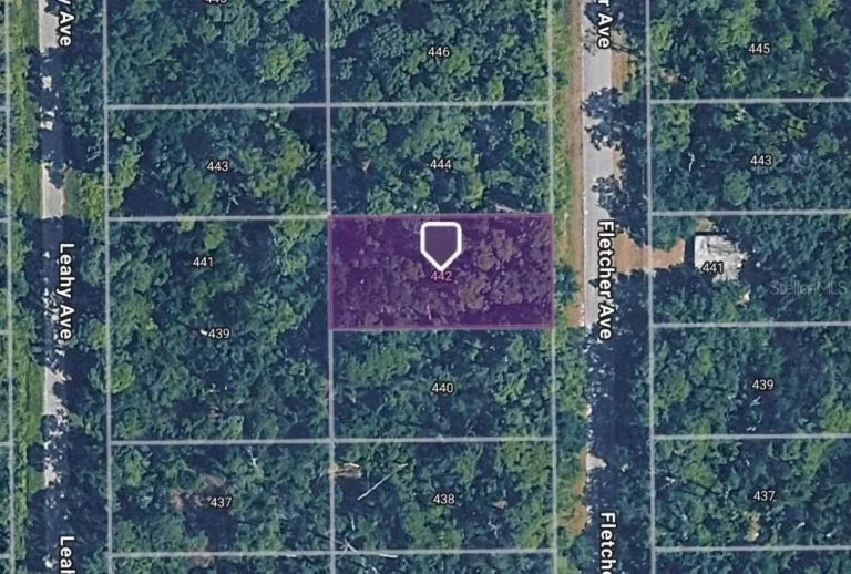 442 Fletcher Ave, Lake Placid FL